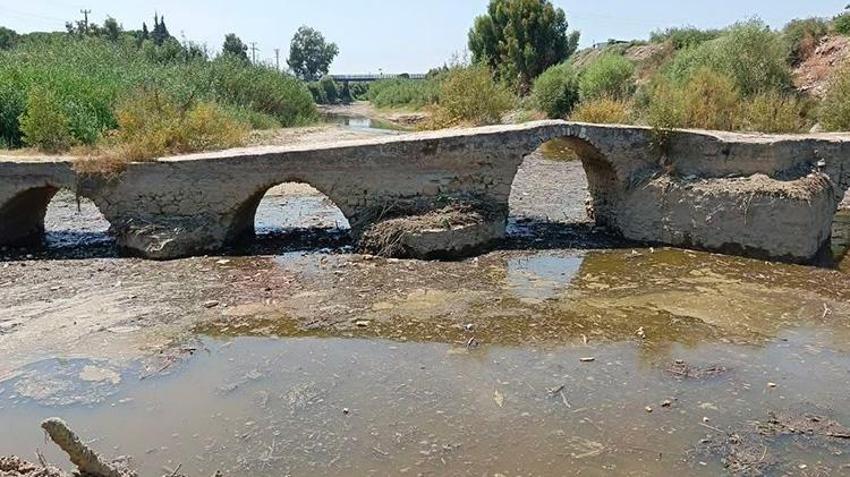 Aydın'da şaşırtan keşif! Tarihi köprü temizliğinde hazine bulundu!