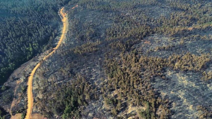 Karabük'te acı manzara: Yangından sonra görüntülendi