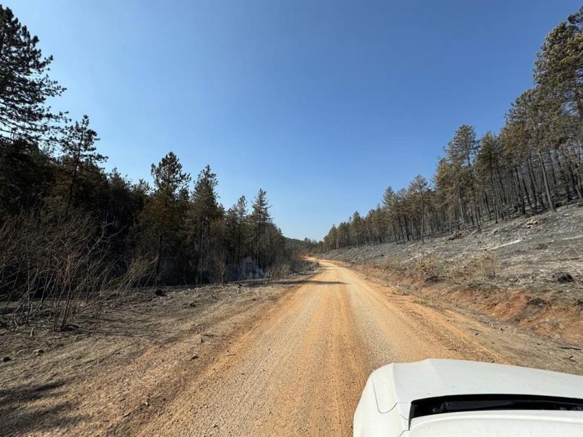 Karabük'te acı manzara: Yangından sonra görüntülendi