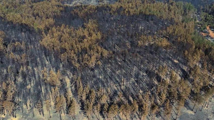 Karabük'te acı manzara: Yangından sonra görüntülendi