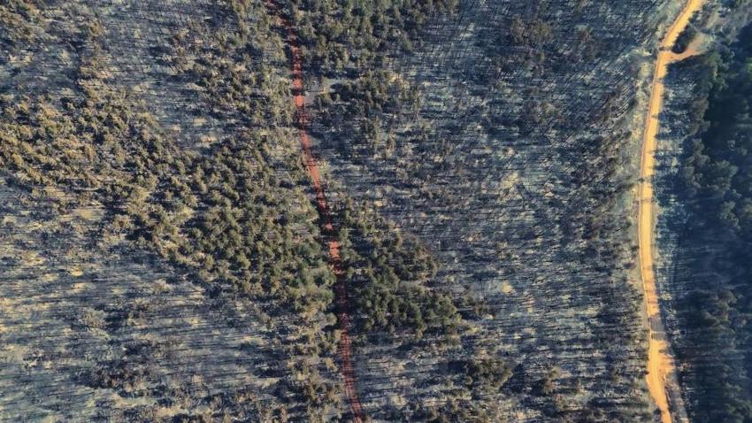 Karabük'te acı manzara: Yangından sonra görüntülendi