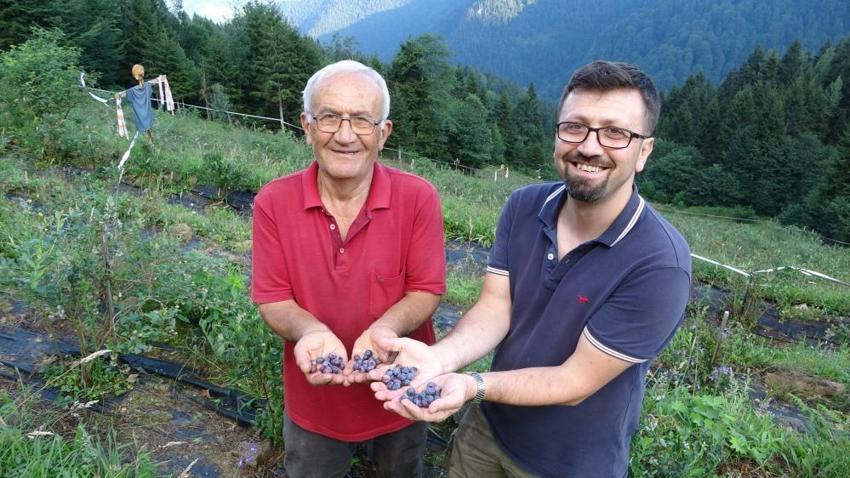 Trabzonlu emekli öğretmen 200 ligarba fidanı ekti kârını beğenince sayısını bin 750'ye çıkardı! Şifa kaynağı meyve büyük talep görüyor