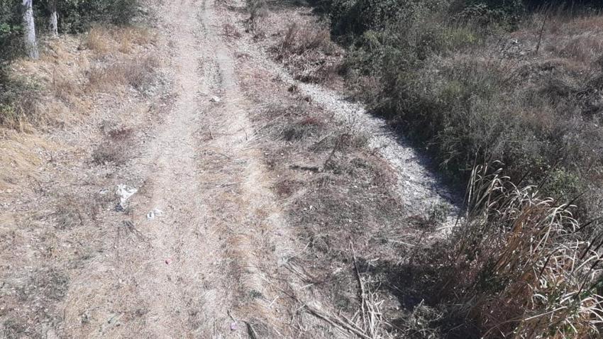 Bolu'da köylülerin nöbeti başladı! Dere başlarında bekliyorlar