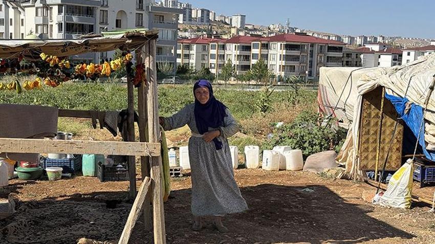 Elazığ'da kiraladıkları tarlalara ektiler! Her şehirden talep yağıyor: 'Kazancımız böyle devam ederse seneye yine buradayız'