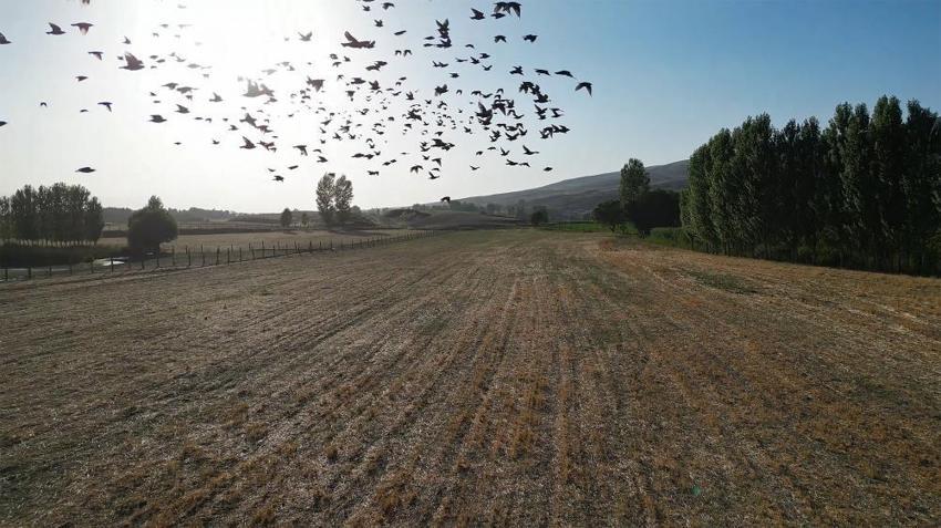 Bitlis ziyaretçilerini uğurluyor: Sonbaharla dönüş başladı