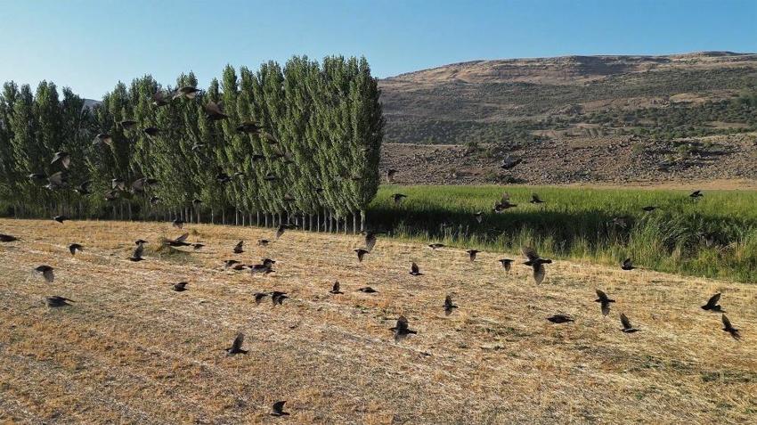 Bitlis ziyaretçilerini uğurluyor: Sonbaharla dönüş başladı