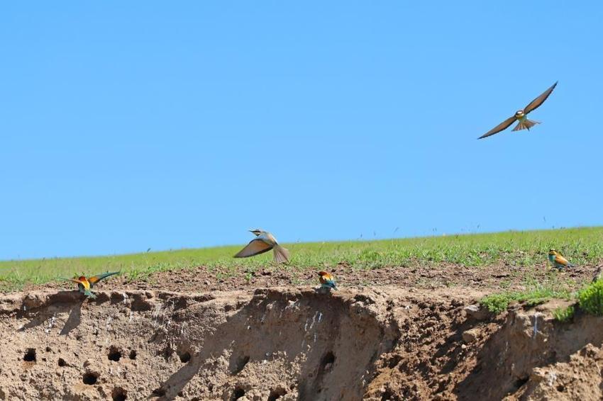 Bitlis ziyaretçilerini uğurluyor: Sonbaharla dönüş başladı