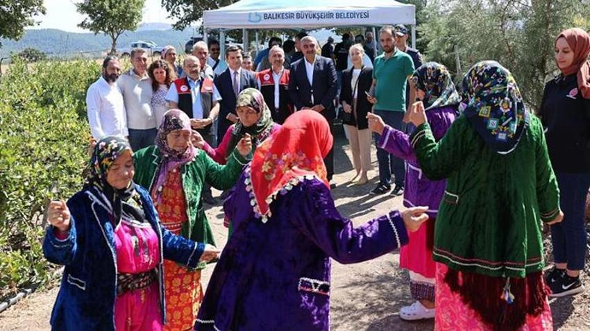 Balıkesir'de şenlik havasında 'süper meyve' hasat edildi! Kazancı yüksek olan ürünün ekim alanı 21 kat arttı