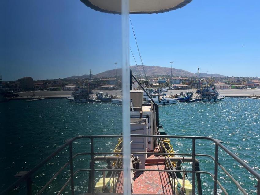 Denizde balık var, teknede tayfa yok! Ege'de zorlu mesai başladı