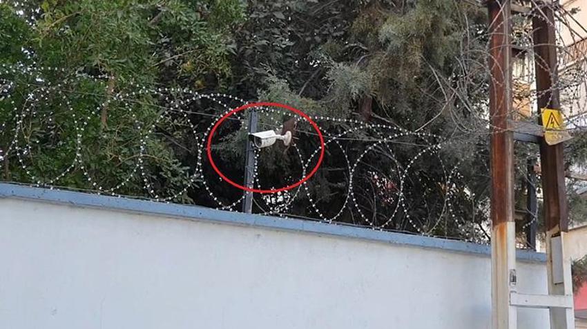 Diyarbakır'da günde 300 kişiye muska yazılan 'şeyh' evine operasyon! 175 milyon TL'lik mal varlıklarına el konuldu