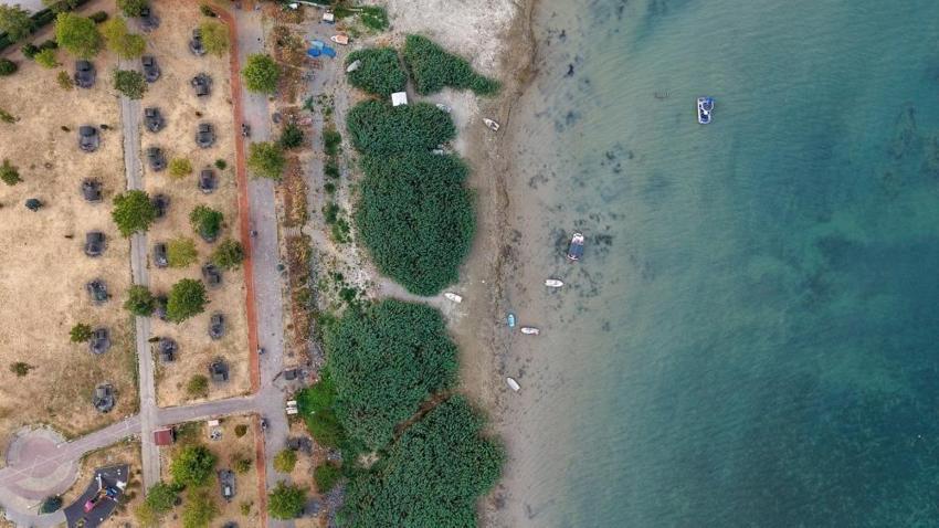 65 yıl sonra kritik eşik geçildi! Sapanca Gölü'nde böylesi görülmedi
