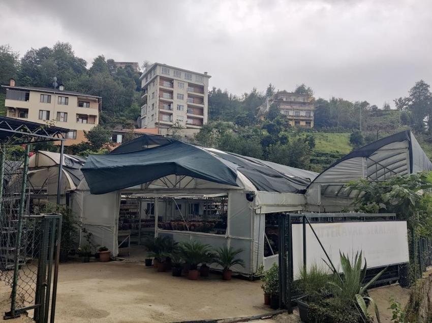 Almanya'dan Rize'ye döndü, kaktüsle işe başladı şimdi her ay 10 bine tane satıyor