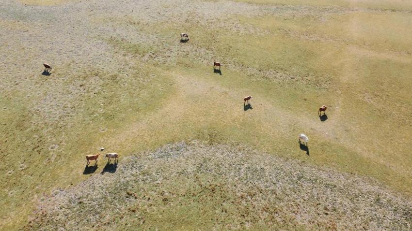Yozgat'ta alarma geçildi! Dron görüntüleri korkunç manzarayı ortaya çıkardı, yeni tehlike kapıda