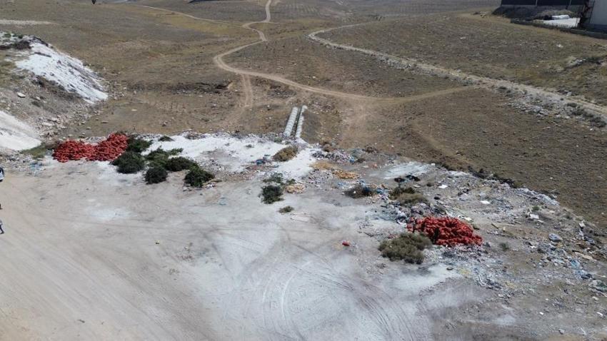 Karaman'da tonlarca soğan araziye atıldı! Sağlamlarını kapış kapış alıyorlar