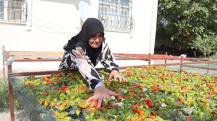 Geliri 50 katına çıkaran dev destek! 10 liralık ürünü 500 liraya satacaklar