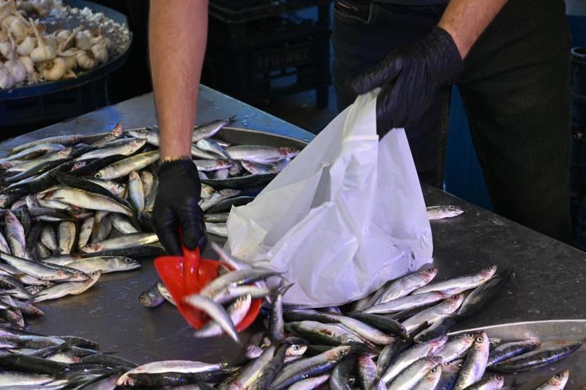 Balık sezonu başladı, Eskişehir'de balıkçılar 6 ton balığı ücretsiz dağıttı!