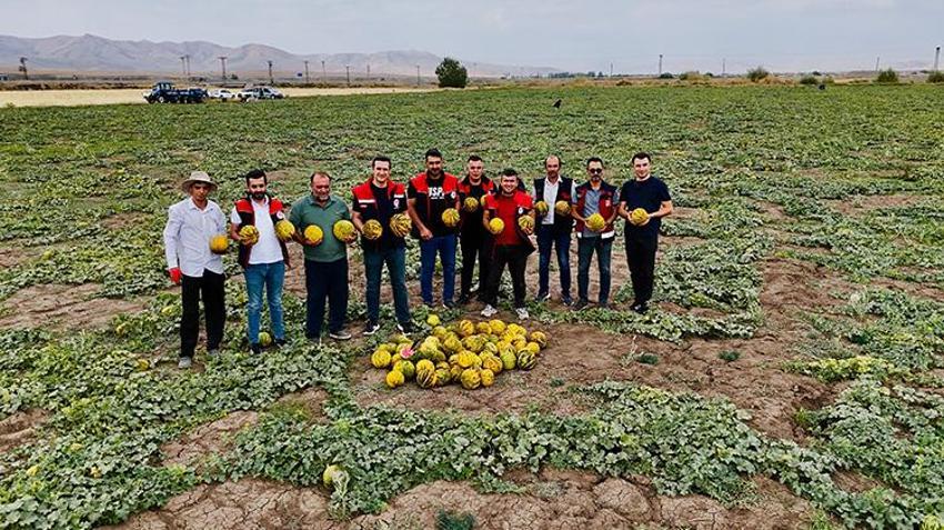 Ağrı'da hasat başladı! 20 gün sürecek! Verim düştü, sıcaklık rekor kırdı