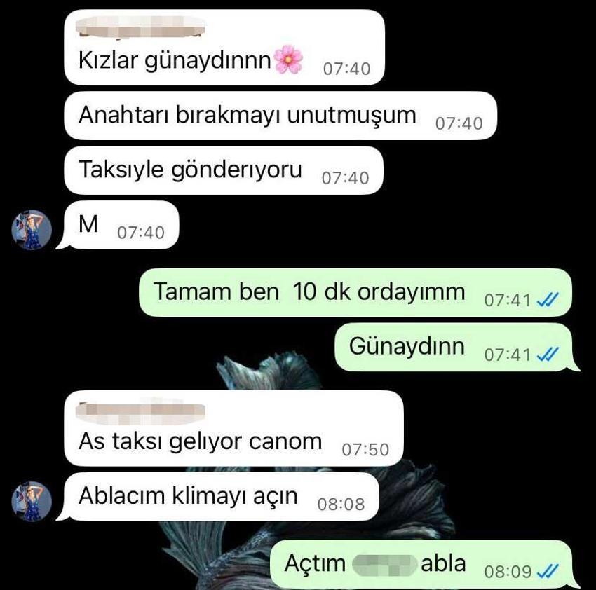 Adana'da gündem olay: Sağ salim bıraktığı köpeğini ölü buldu! Sahibi 'ihmal var' diyerek suç duyurusunda bulundu