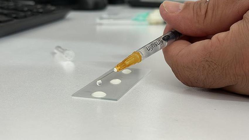 Isparta alarma geçti! 300 bin tanesi aynı anda doğaya salınacak