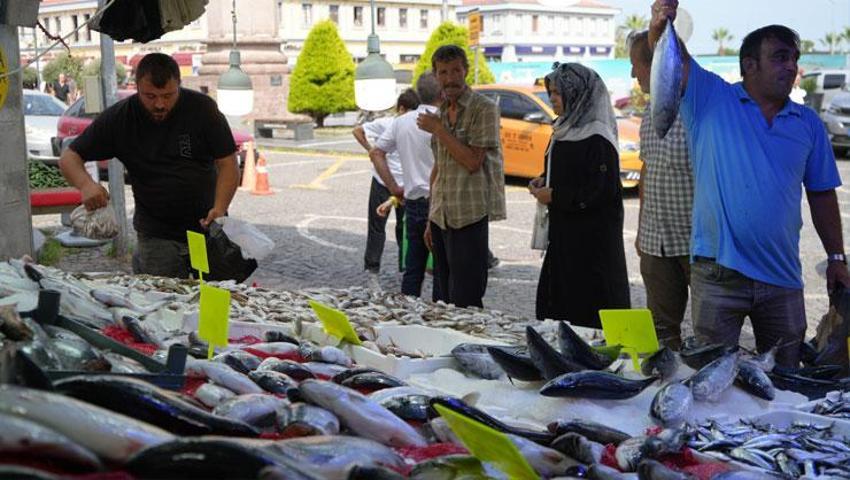 Tezgahlarda balık bolluğu var, hamsi için geri sayım başladı: Balıkçılar yolunu gözlüyor