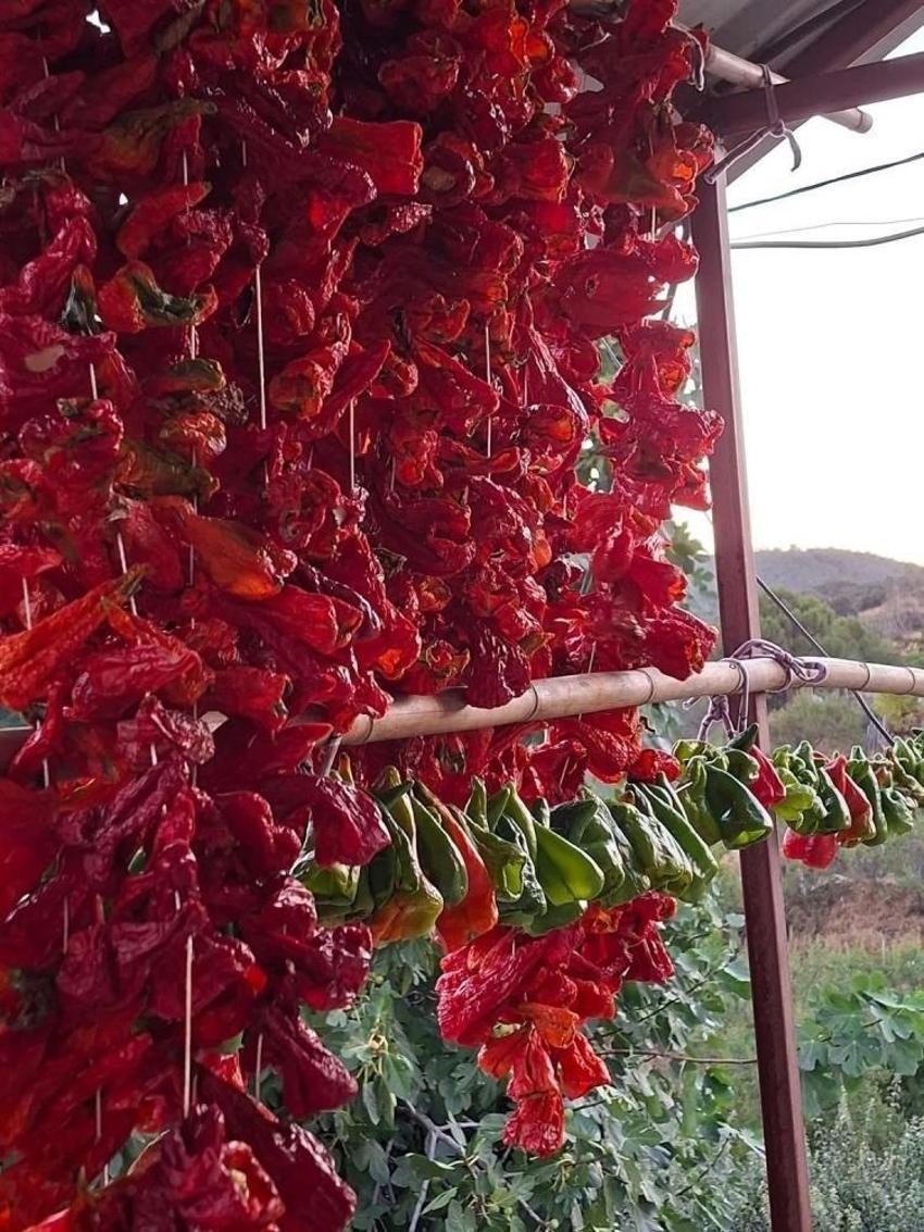Manisalı kadınlar kışa hazır: Yiyecek mesaisi devam ediyor