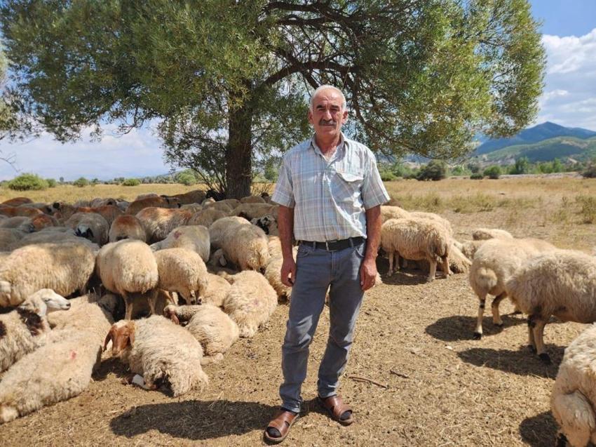 Çobanlar çıldırdı! İstedikleri maaşı kimse ödeyemiyor: 'Tütününden kıyafetine kadar her şeyi biz karşılıyoruz'