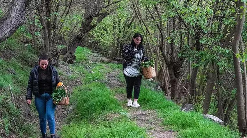 Diyarbakır'da herkes oraya koştu! Şifalı deyince sepet sepet topladılar!