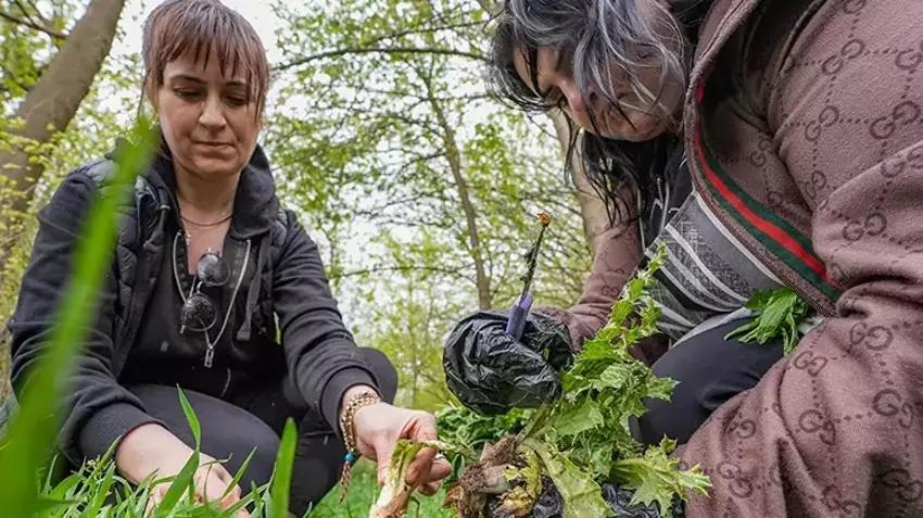 Diyarbakır'da herkes oraya koştu! Şifalı deyince sepet sepet topladılar!