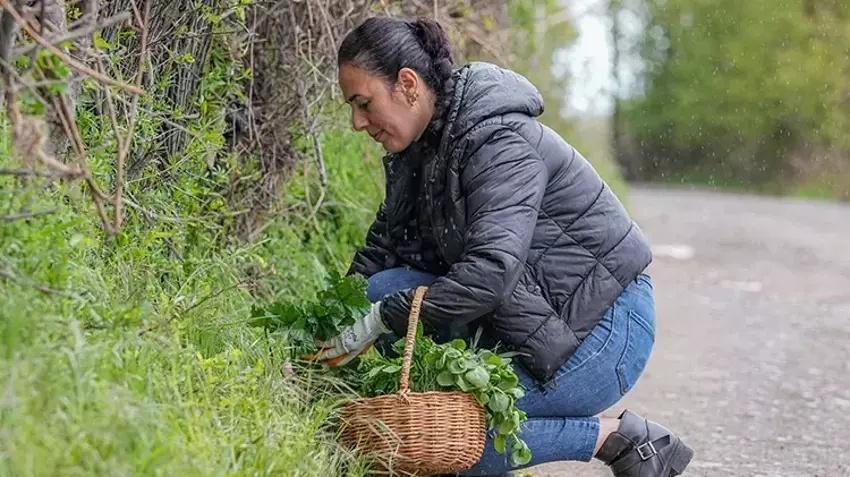 Diyarbakır'da herkes oraya koştu! Şifalı deyince sepet sepet topladılar!