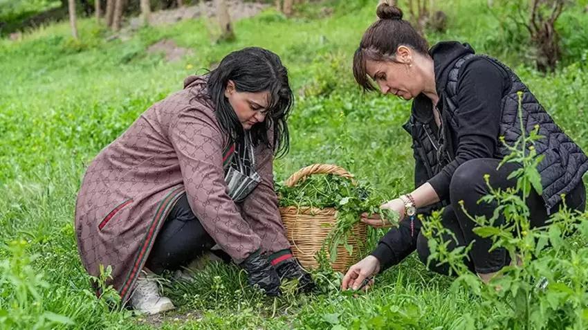 Diyarbakır'da herkes oraya koştu! Şifalı deyince sepet sepet topladılar!