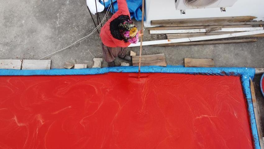 Adana'da damlar renklendi! Mesai başladı: Güneşte pişirip kışlık yapıyorlar