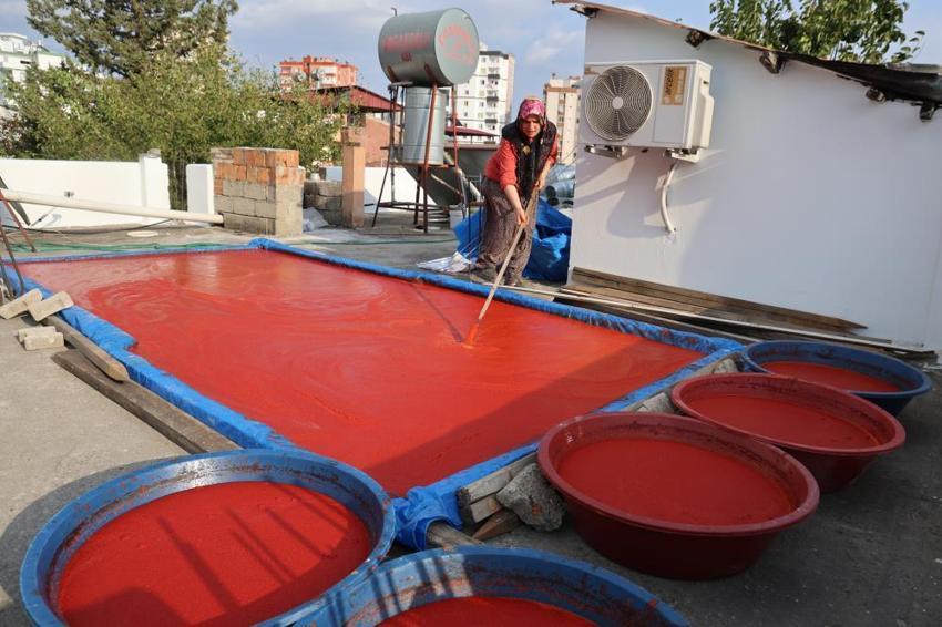 Adana'da damlar renklendi! Mesai başladı: Güneşte pişirip kışlık yapıyorlar