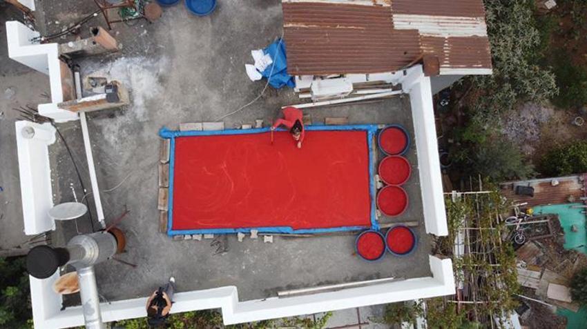 Adana'da damlar renklendi! Mesai başladı: Güneşte pişirip kışlık yapıyorlar