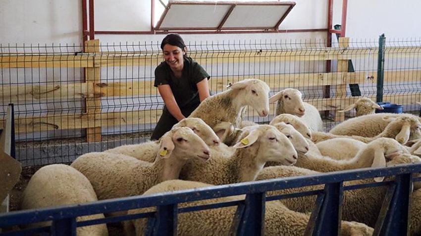 Antalyalı genç girişimci baba evini arkasında bırakıp Afyonkarahisar'da iş kurdu! Kısa sürede sermayesini ikiye katladı