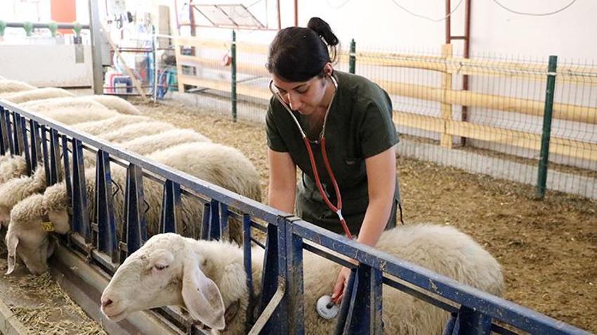 Antalyalı genç girişimci baba evini arkasında bırakıp Afyonkarahisar'da iş kurdu! Kısa sürede sermayesini ikiye katladı