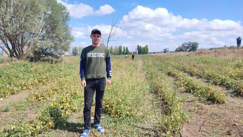 Aracılar daha çok kazanınca yöntemi değiştirdi! Yozgat'ta öğrencilik yaparken gelir kapısı buldu