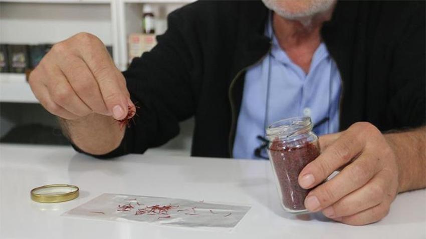 Bahçesine dikeni bir yıl içinde zengin eden bitki: Kilosu 250 bin TL'den resmen kapış kapış gidiyor! Eylül sonuna kadar vakit var
