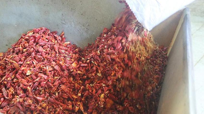 Yüzyıllardır ata tohumuyla üretiyorlar: Her yerde ekiliyor ama Kayseri'de bu mahallede aroması daha farklı