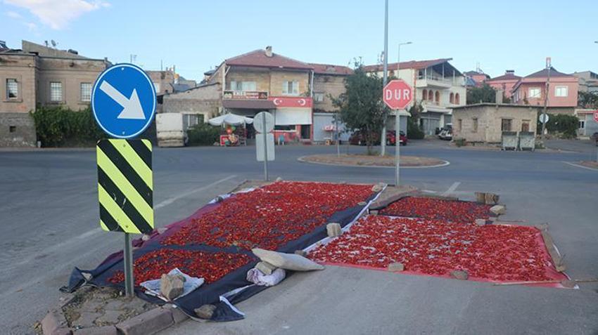 Yüzyıllardır ata tohumuyla üretiyorlar: Her yerde ekiliyor ama Kayseri'de bu mahallede aroması daha farklı