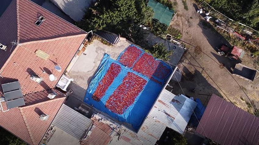 Yüzyıllardır ata tohumuyla üretiyorlar: Her yerde ekiliyor ama Kayseri'de bu mahallede aroması daha farklı