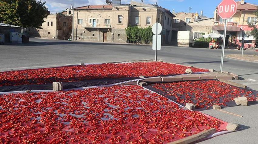 Yüzyıllardır ata tohumuyla üretiyorlar: Her yerde ekiliyor ama Kayseri'de bu mahallede aroması daha farklı