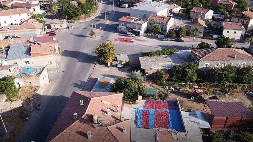Yüzyıllardır ata tohumuyla üretiyorlar: Her yerde ekiliyor ama Kayseri'de bu mahallede aroması daha farklı