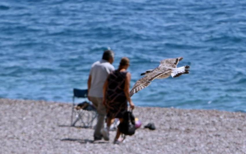 Dünyaca ünlü sahilde kalabalık azaldı! Yarı yarıya düştü