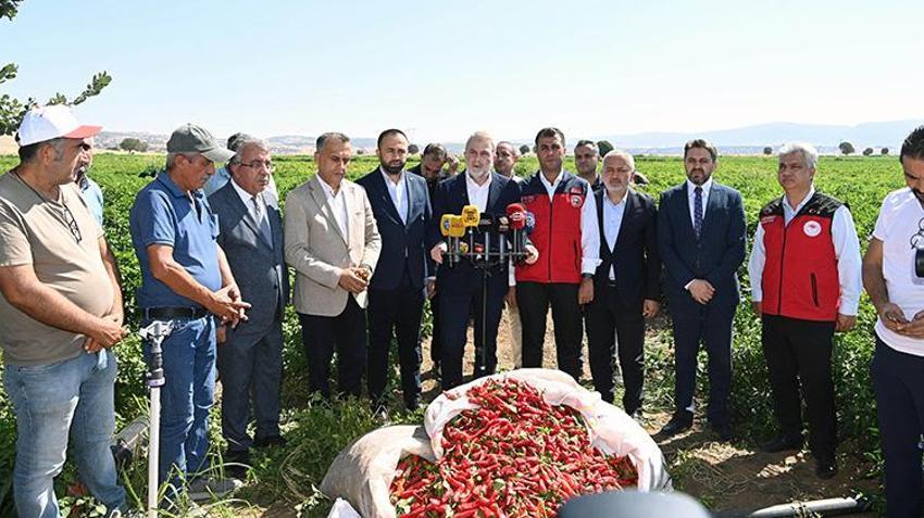 Kırmızı altın için tarlaya girdiler: Coğrafi işaretli Maraş biberi için hasat mesaisi!