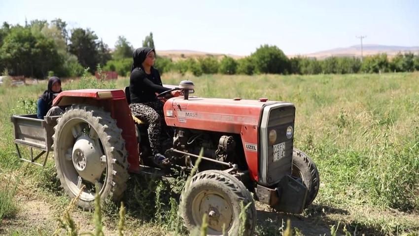 Köyünde yetiştirip pazarda kilosu 10 TL'ye satıyor! Amasyalı Esra'nın karpuzları kapış kapış gidiyor
