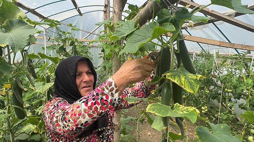 Giresunlu ev hanımı devlet desteğiyle üretime başladı! 'Evimize gelir kapısı oldu'
