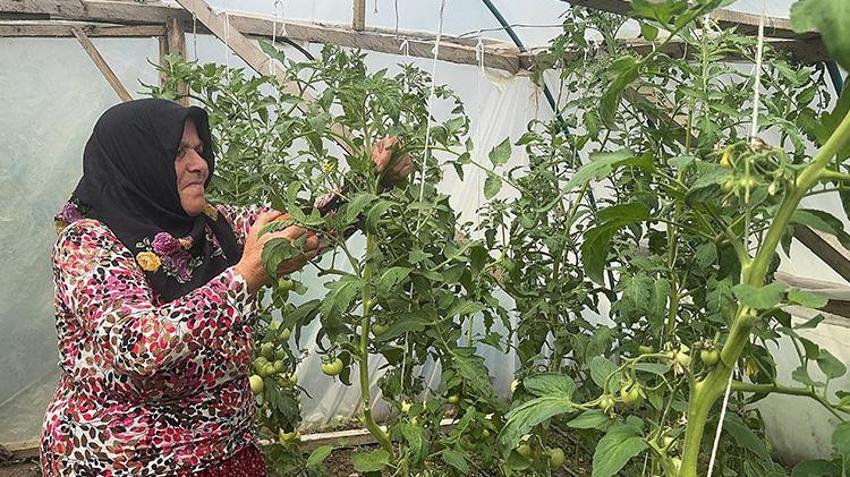 Giresunlu ev hanımı devlet desteğiyle üretime başladı! 'Evimize gelir kapısı oldu'