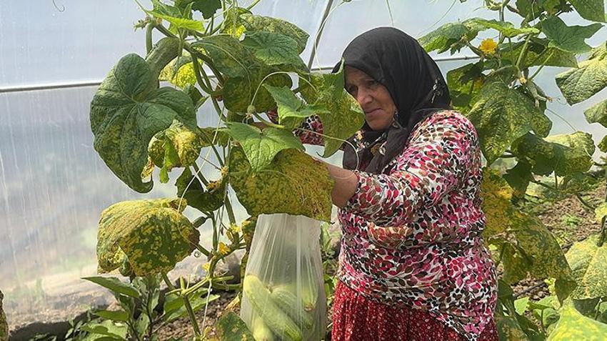 Giresunlu ev hanımı devlet desteğiyle üretime başladı! 'Evimize gelir kapısı oldu'