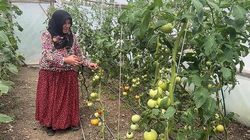 Giresunlu ev hanımı devlet desteğiyle üretime başladı! 'Evimize gelir kapısı oldu'