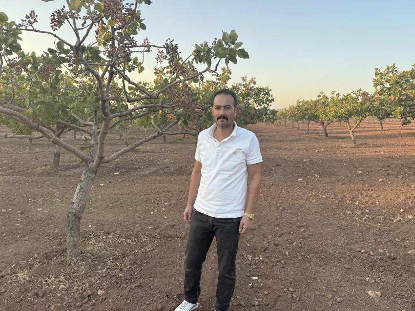 Siirt'te böylesi görülmedi: Yüzde 80 oranında düştü